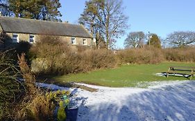 Birch Cottage- 15841